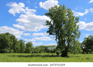 FC经典游戏直播：重温红白机时代的欢乐时光