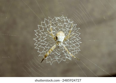 fai直播吧：畅享高清流畅的体育赛事直播体验