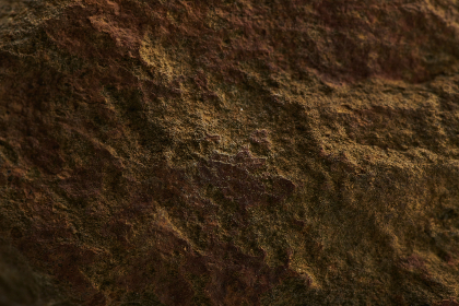 F1马来西亚站直播：雪邦赛道极速狂飙，谁将问鼎冠军宝座？