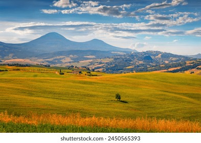 2025年双色球最新开奖结果及中奖号码查询