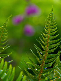 FIBA亚洲杯篮球赛全程高清直播，精彩对决不容错过！