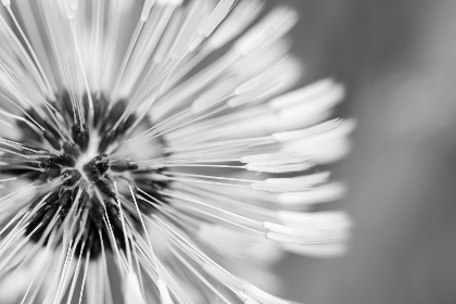 2025年昨晚开奖结果最新公布，速看中奖号码详情